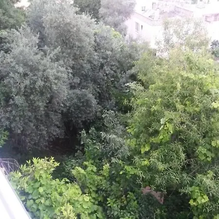Apartament 